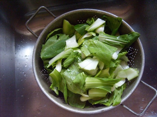 Washing salad greens 500 x 375