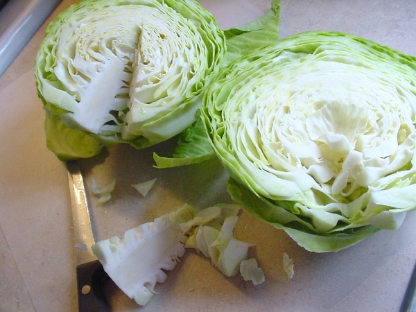 cutting the core out of the head of cabbage
