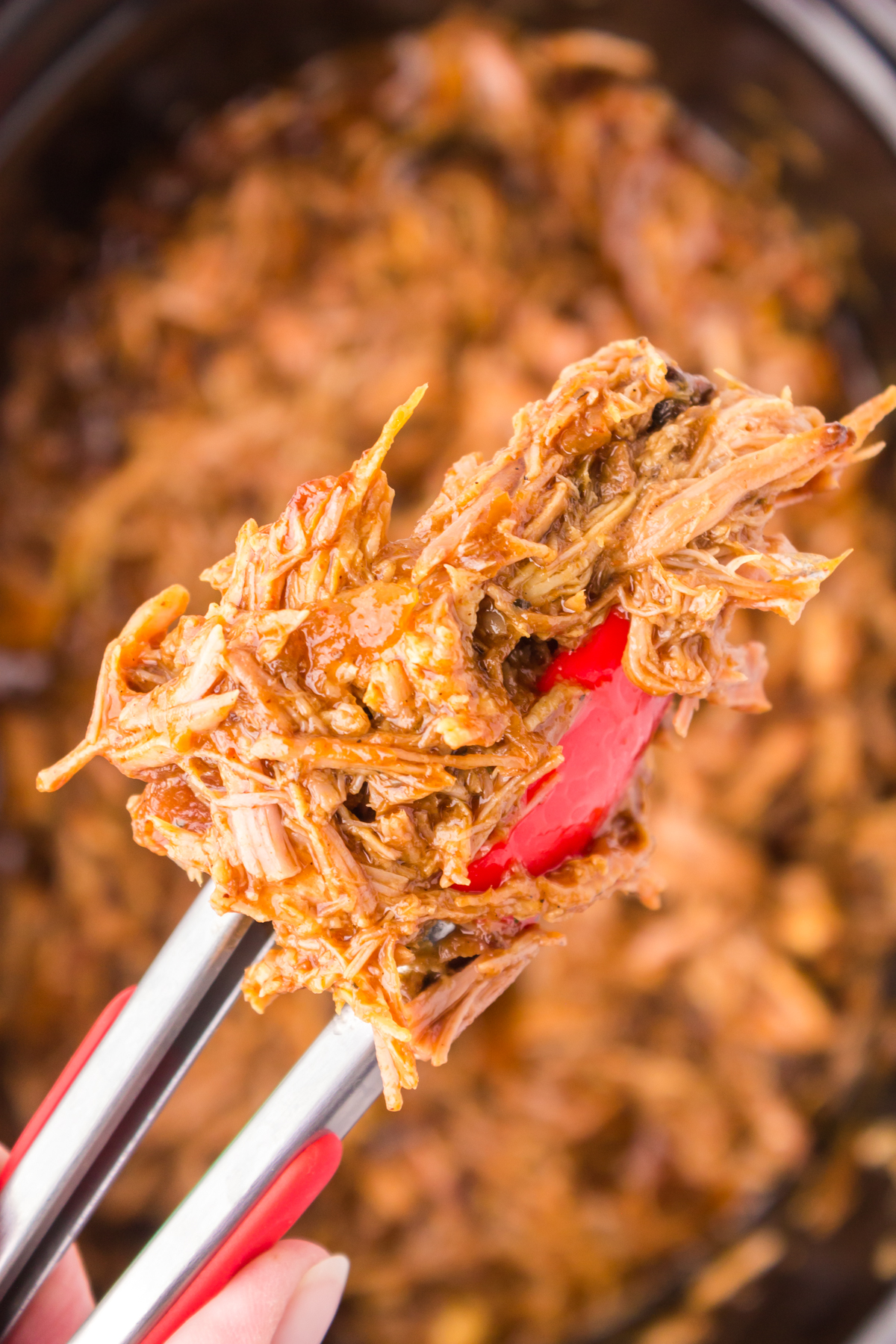 spoonful of pulled pork