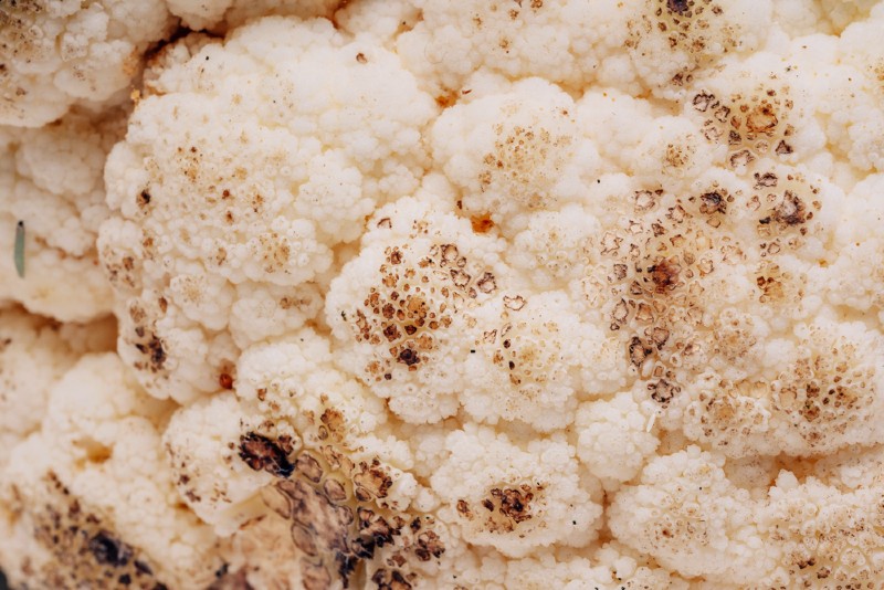 cauliflower with black spots of mold on it