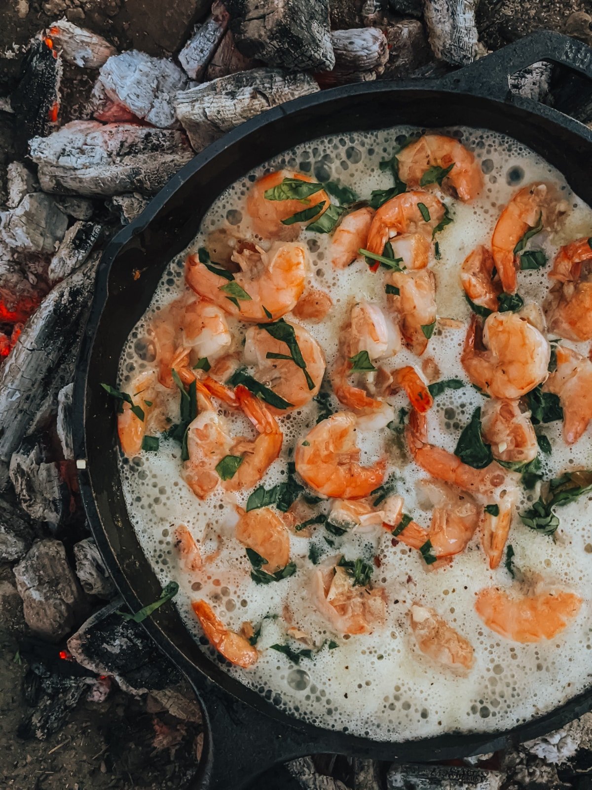 Cast Iron Garlic Butter Shrimp 003219776