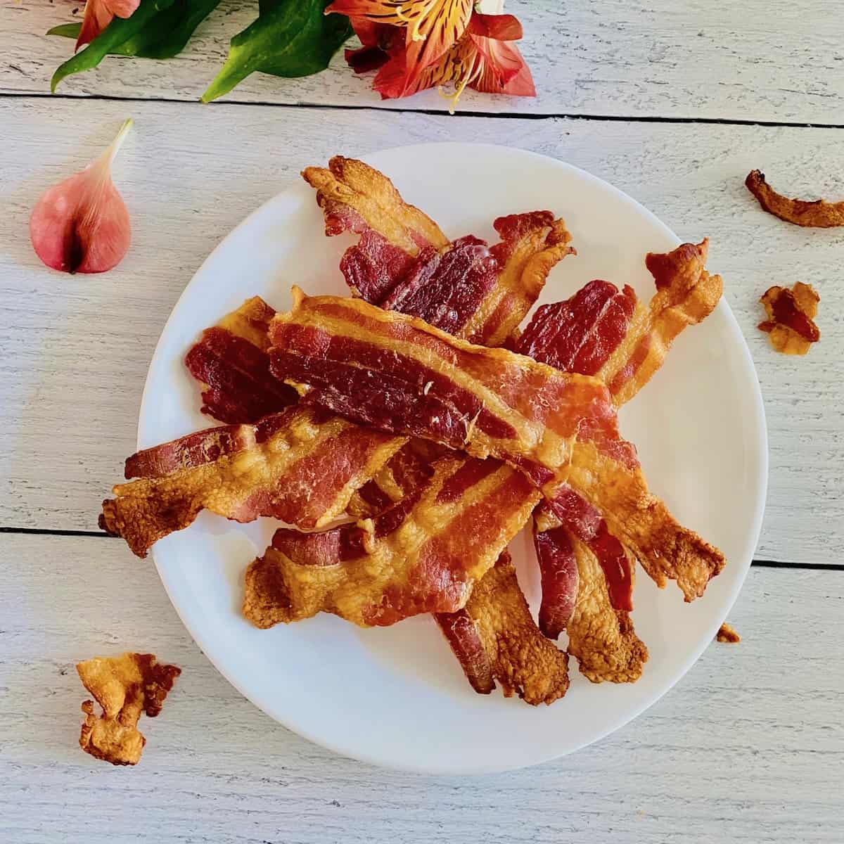 Toaster Oven Bacon Featured