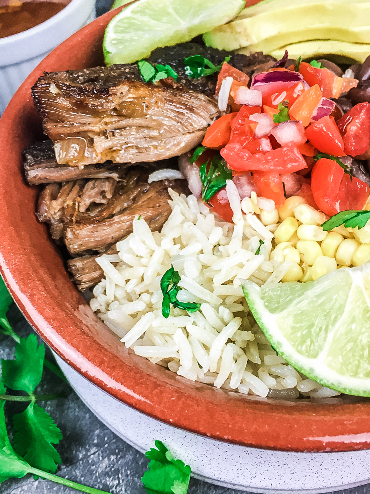 bowl full of pork carnitas and other toppings