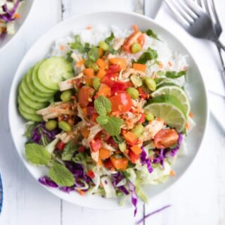 ChickenandVeggieRiceBowlswithGingerScallionDressing 2