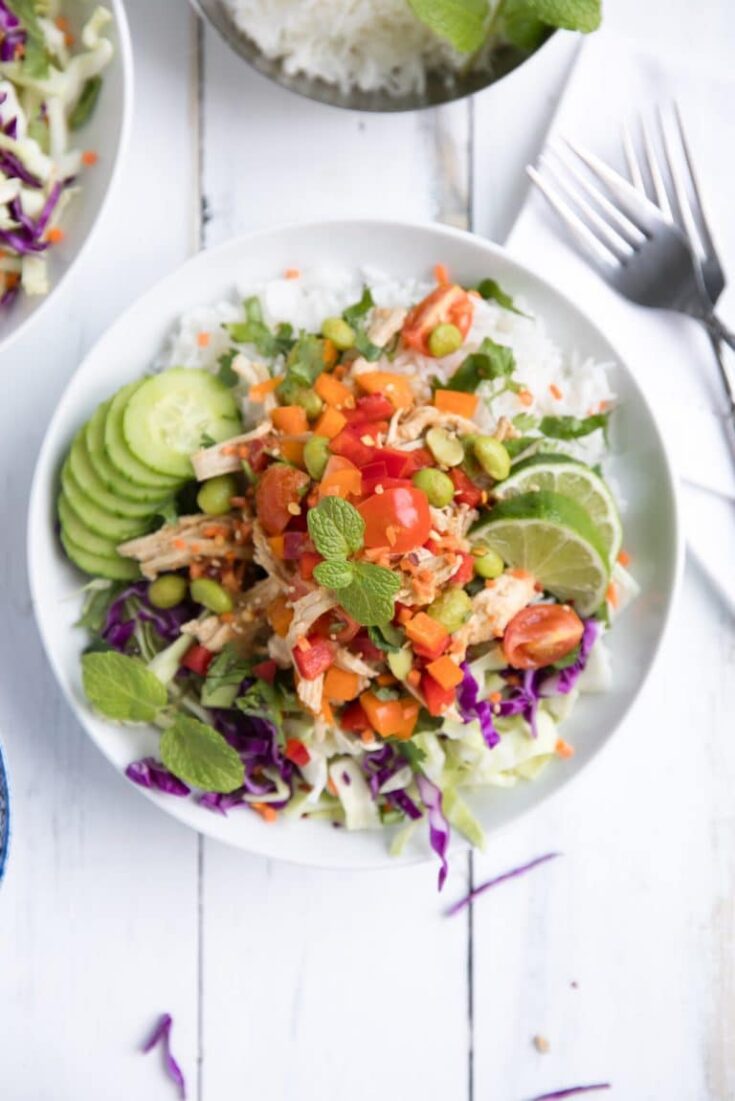 25 Easy Rice Bowl Recipes (Delicious Dinner Ideas) - Remake My Plate