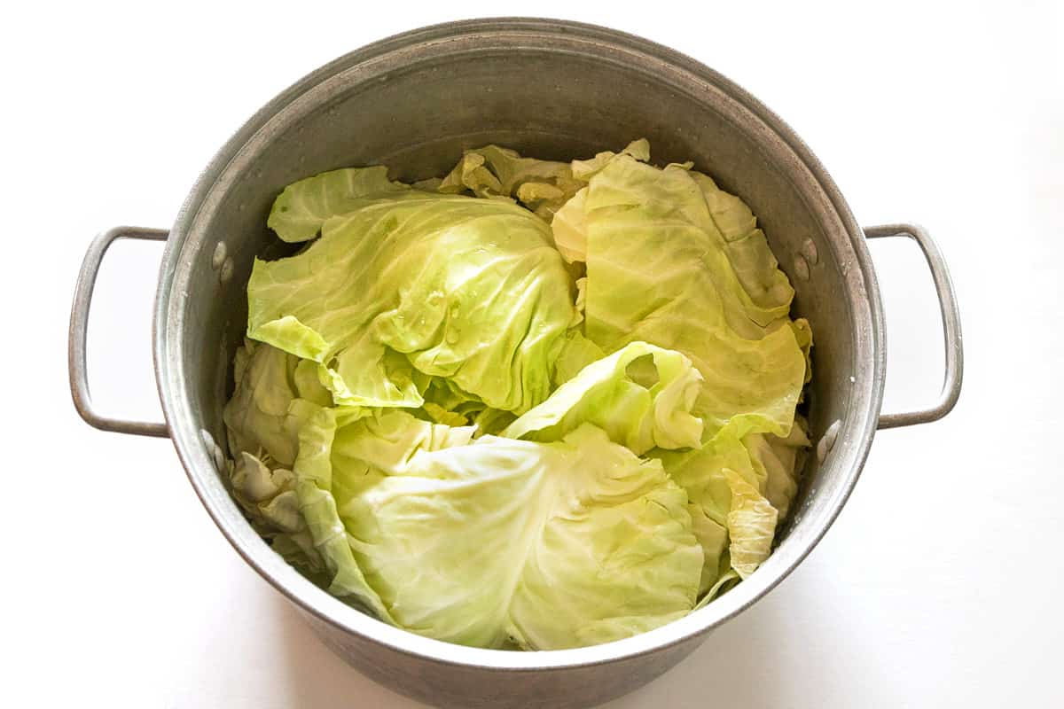 cabbage rolls recipe 1