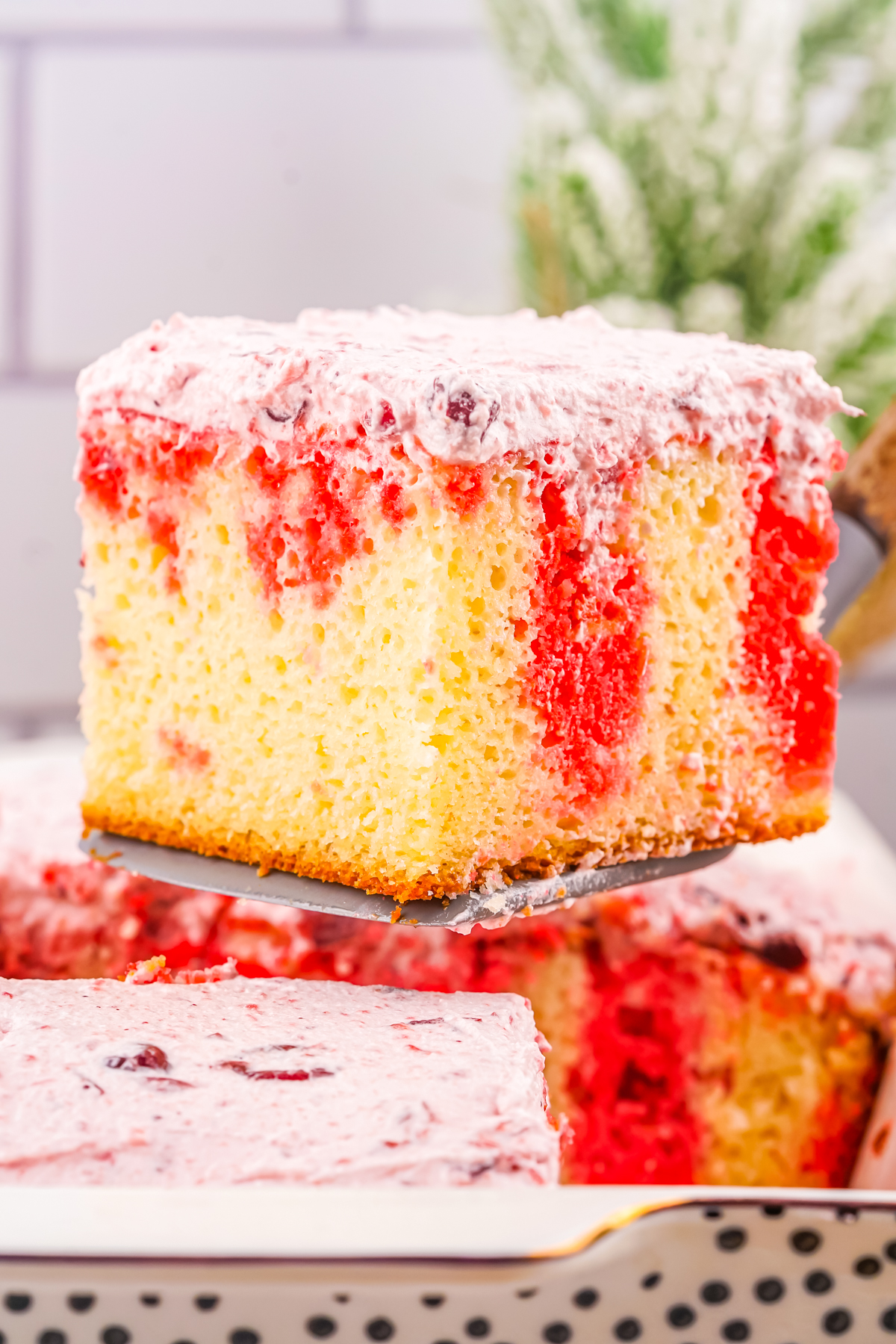 slice of homemade cranberry Christmas poke cake on a serving spatula