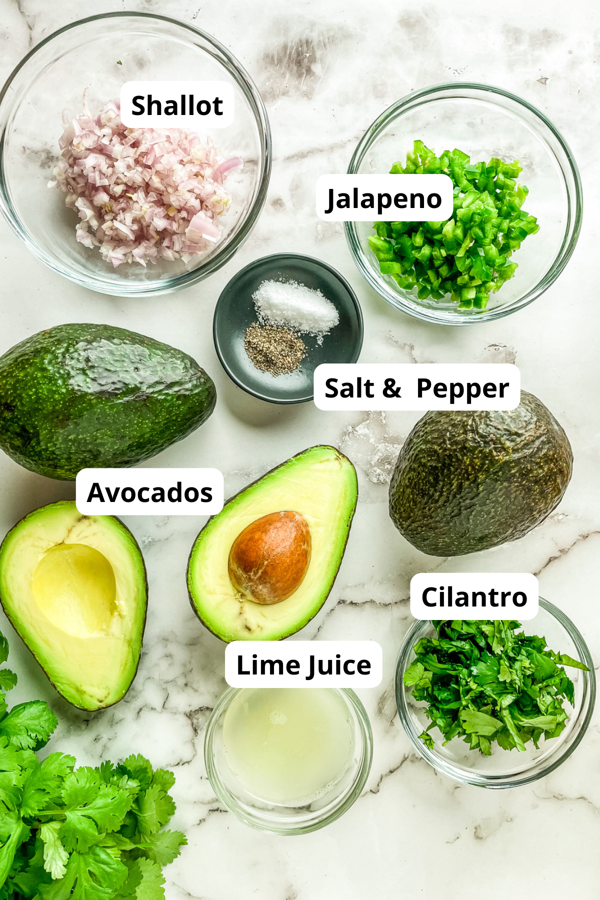 simple ingredients to make this homemade guacamole recipe without tomatoes