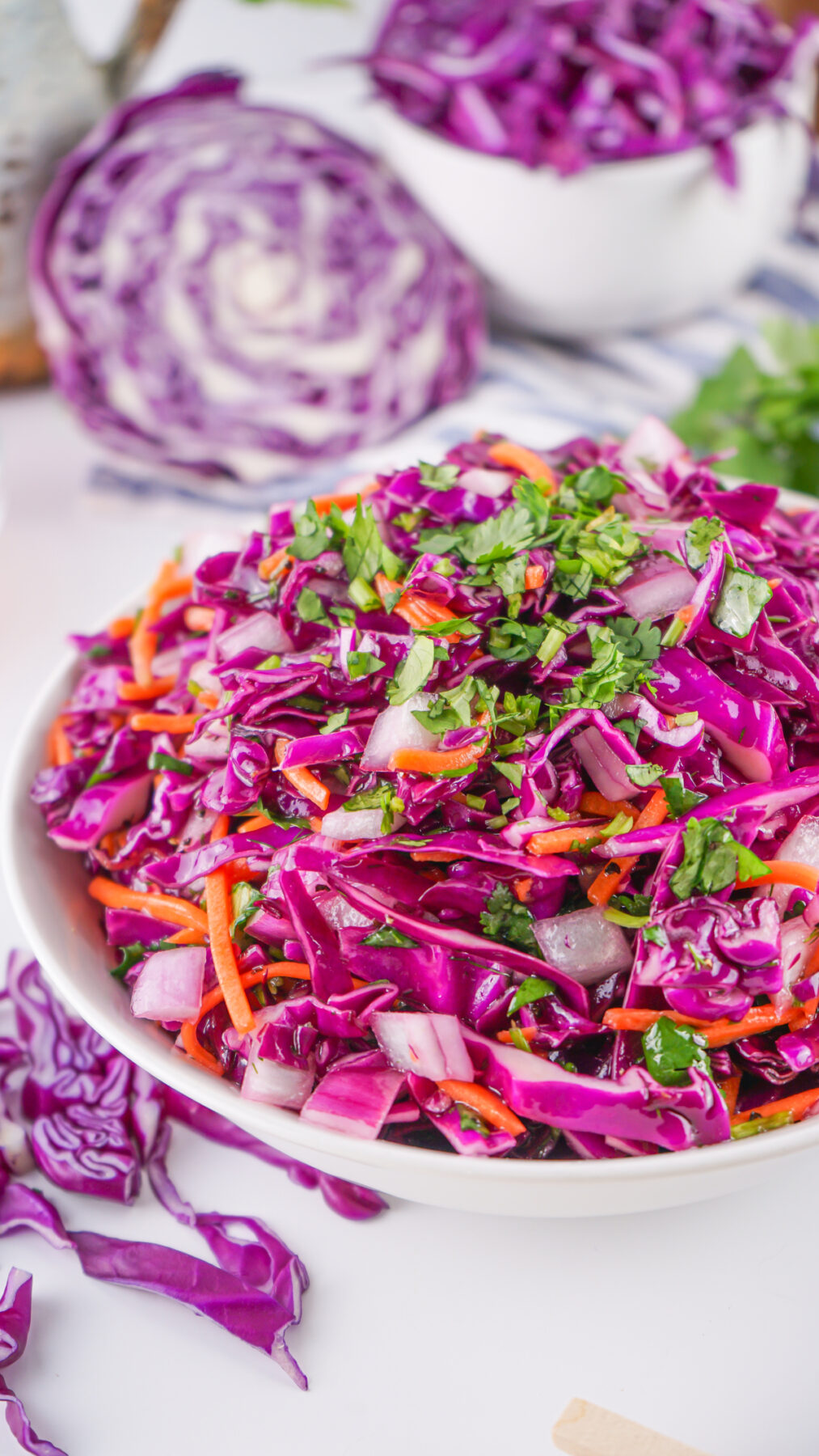 purple cabbage coleslaw recipe topped with a tangy dressing